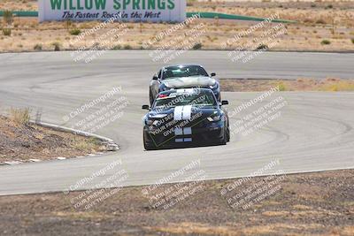media/Oct-25-2025-West Coast Racing (Sat) [[9fdcbcd09c]]/Blue group/Turn 4/